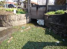 5-3东干渠十字口